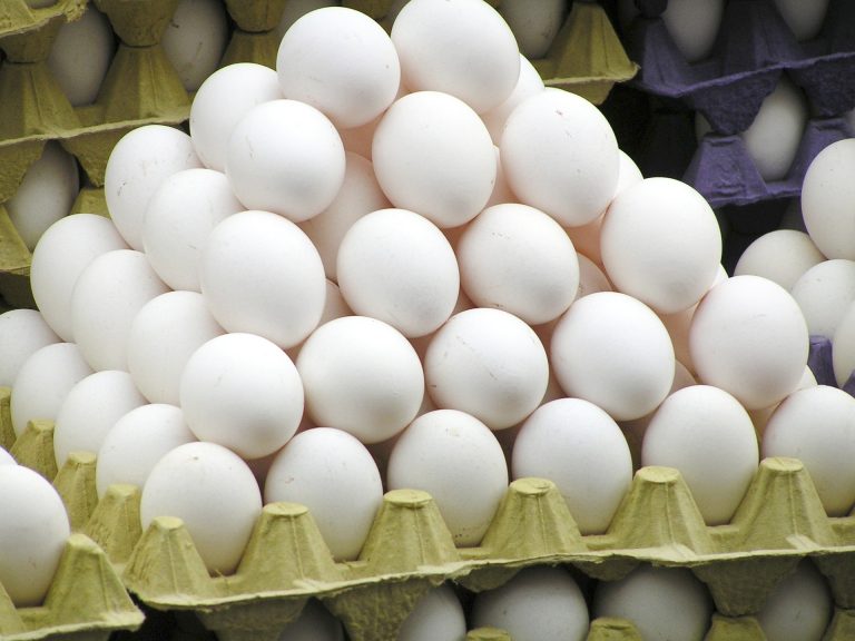 Proteína barata: com demanda interna aquecida, Brasil produz 4,06 bilhões de dúzias de ovos em 2022 