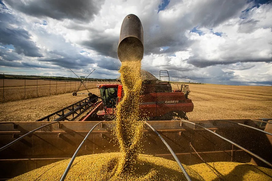 Com clima ruim, safra brasileira de grãos será menor em 2024